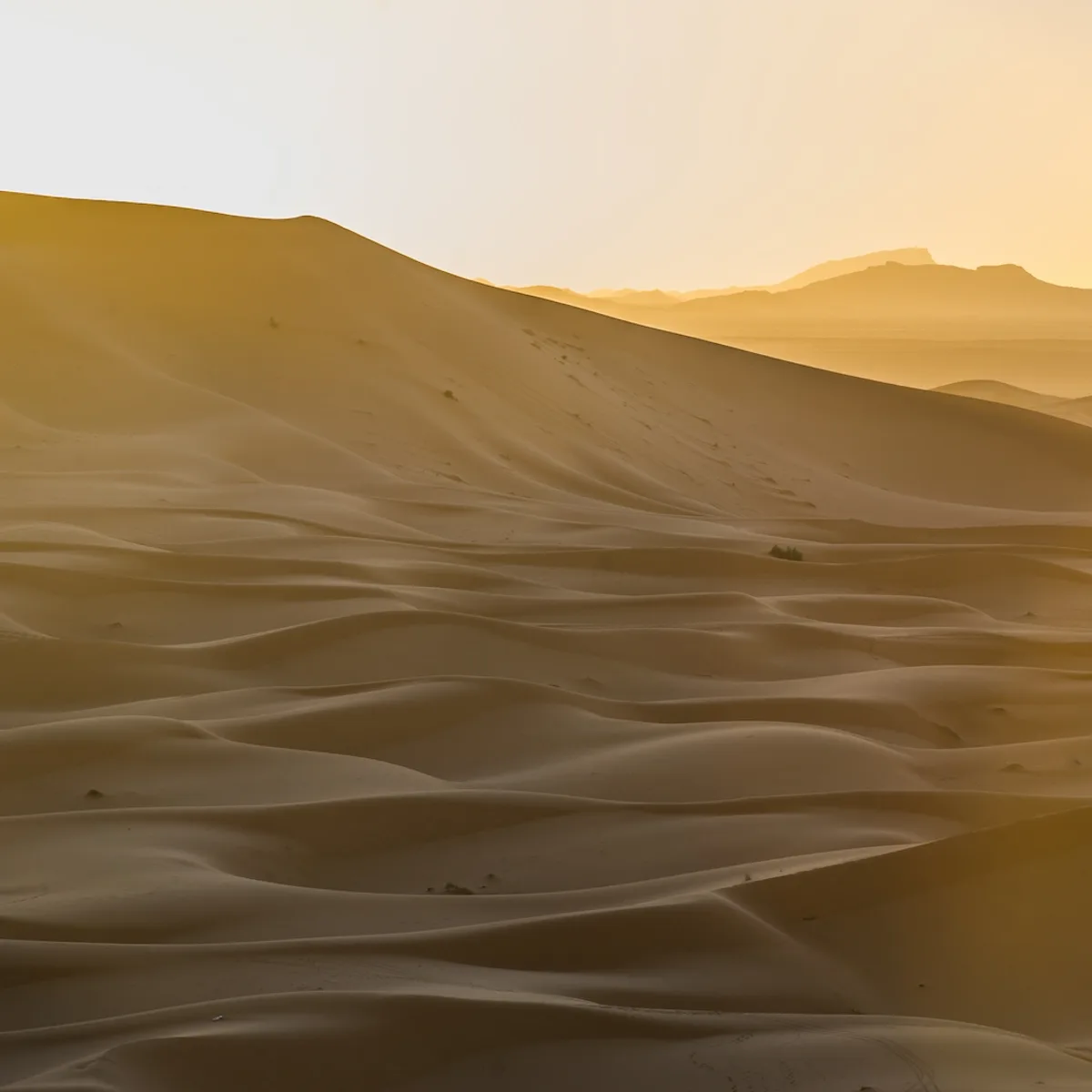 Private Sahara Desert Camp